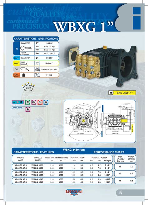 Bertolini Pump WBXG 3530 - Bertolini Pumps Canada