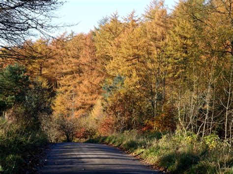 Macclesfield Forest, Autumn Photographs - www.bootsandpaws.co.uk