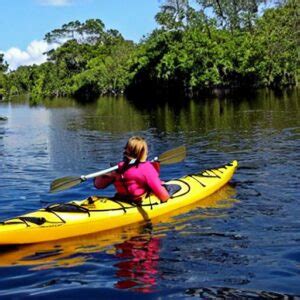 Kayaking in the Homosassa Springs: A Wildlife Adventure - TravelMagma