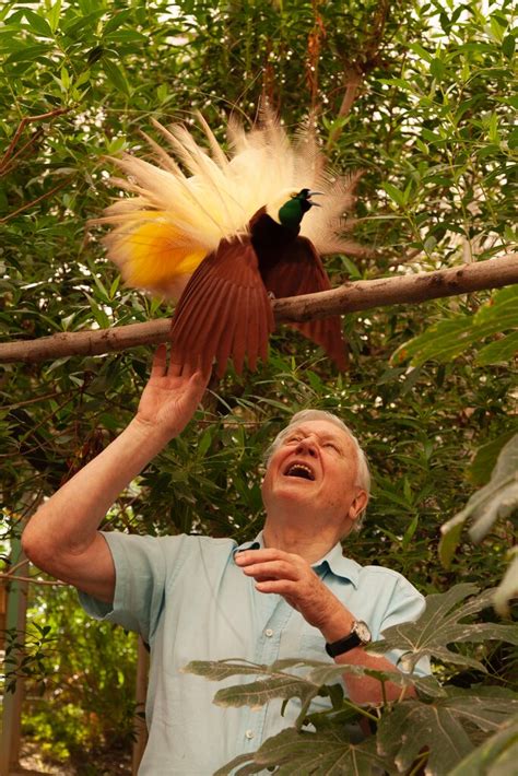 David Attenborough Still Has Hope for Our Future - The New York Times