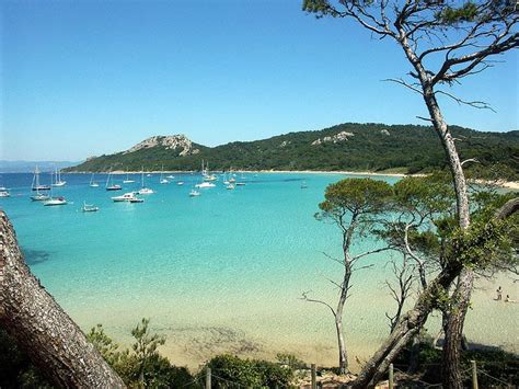 Porquerolles Island, France: An Escape From the Frantic Côte d'Azur ...