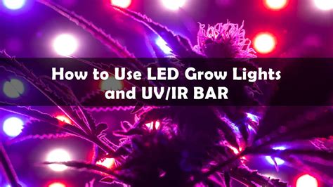 How to Use LED GROW Lights And UV/IR BAR | Medicgrow