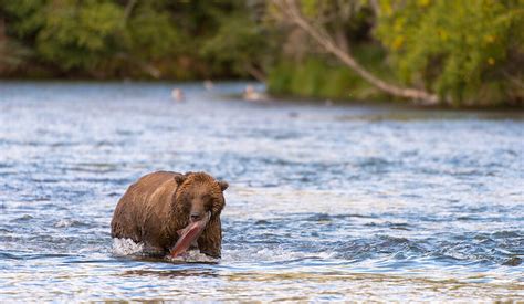 Katmai National Park and Preserve - MapQuest Travel