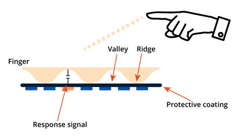 The benefits of fingerprint identification | Argus TrueID