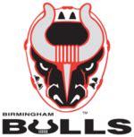 Birmingham Bulls (ECHL) - Wikipedia, the free encyclopedia