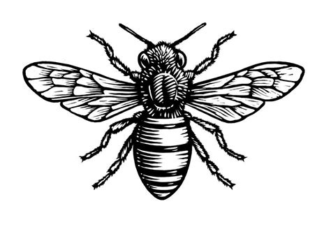 Bee Tattoo Design Drawing - Design Talk