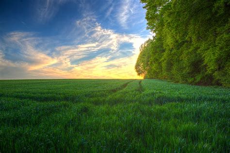 HD wallpaper: green grassy field over horizon, Beauty, Spring green ...