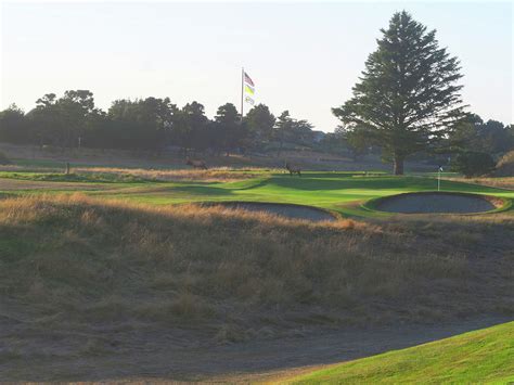 Gearhart Golf Links - Hole #11 Photograph by Scott Carda - Fine Art America