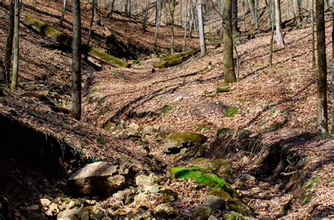 Yellow River State Forest – City of Harpers Ferry, Iowa