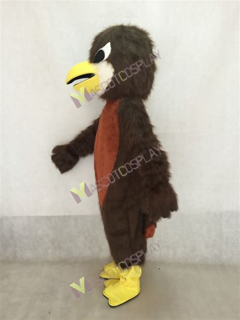 Cute Redd Robin Mockingbird Mascot Costume