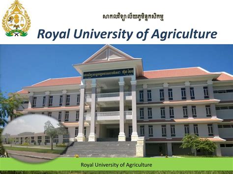 PPT - Royal University of Agriculture PowerPoint Presentation, free ...