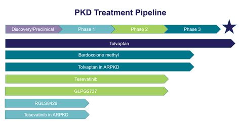 Research Pipeline | PKD Foundation