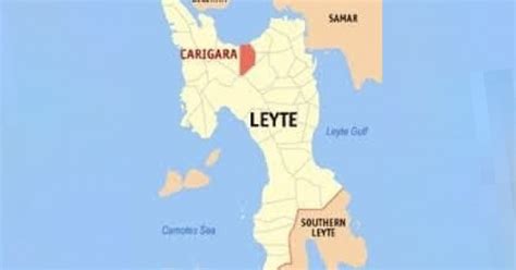 'NPA-linked' Leyte group hit for shortchanging farmers | Philippine ...