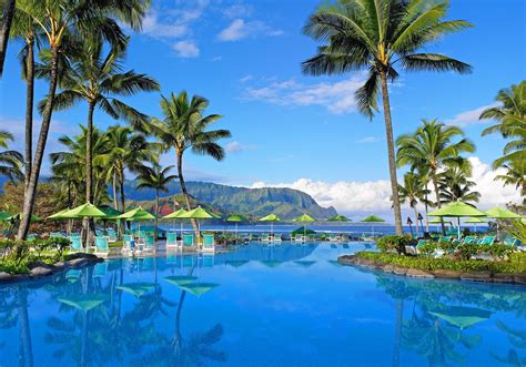 Download Resort Hotel Hawaii Palm Tree Mountain Man Made Pool HD Wallpaper