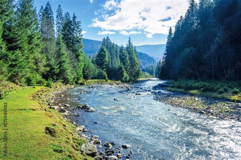 mountain river winding through forest. beautiful nature scenery in ...