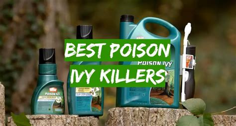 Top 5 Best Poison Ivy Killers [May 2024 Review] - Grass Killer