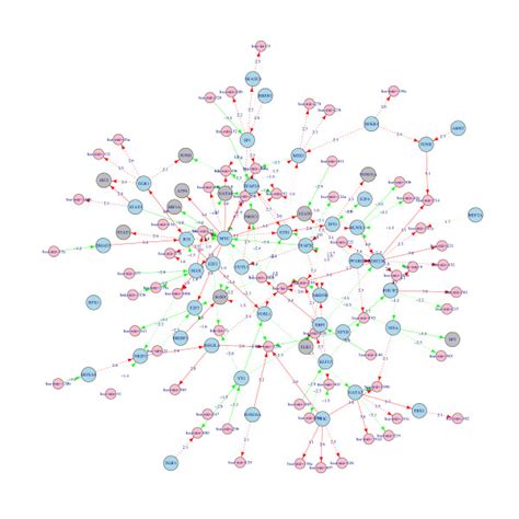 A sub-network from the human cancer combinatorial gene regulatory... | Download Scientific Diagram