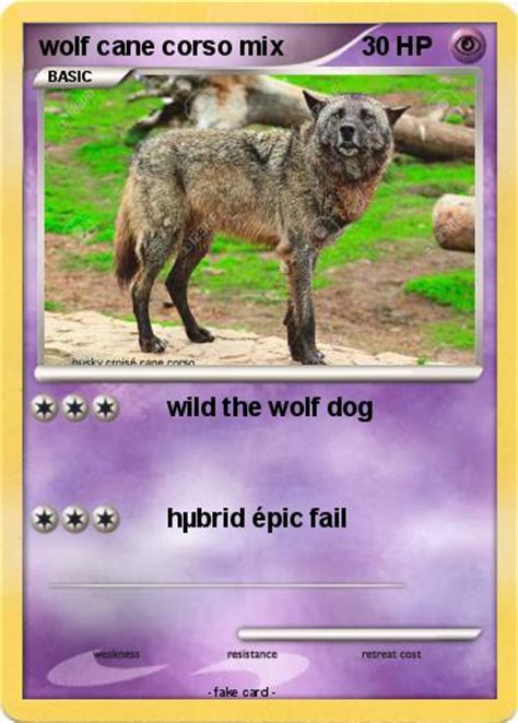 Pokémon wolf cane corso mix - wild the wolf dog - My Pokemon Card