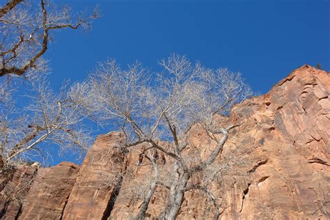 High Rocky Mountains · Free Stock Photo