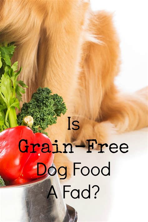 Is Grain-free Dog Food A Fad? - DogVills