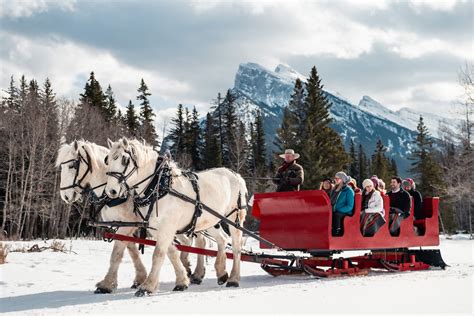 Horse-Drawn Sleigh Ride in Banff