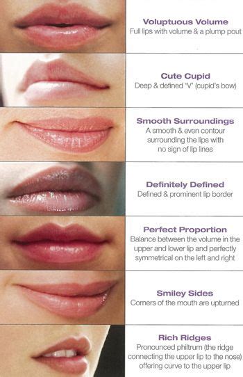 How do lip augmentation works? Learn more about who are the good candidates for lip augmentation ...