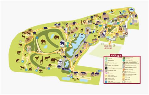 Colchester Zoo Map Zoo Map - Colchester Zoo Map , Free Transparent Clipart - ClipartKey