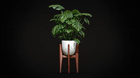 Monstera Deliciosa Potted Mid-Century plant - Download Free 3D model by ...