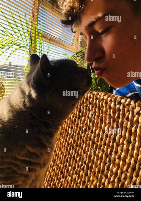 Cat kissing my boy Stock Photo - Alamy