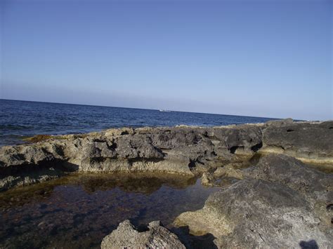 tidal pools | Tidal pool, Outdoor, Beach