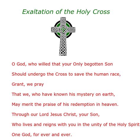 Daily Homilies: Feast of the Exaltation of the Holy Cross