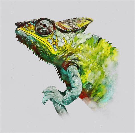 Colorful Chameleon Watercolor Painting Portrait on Behance