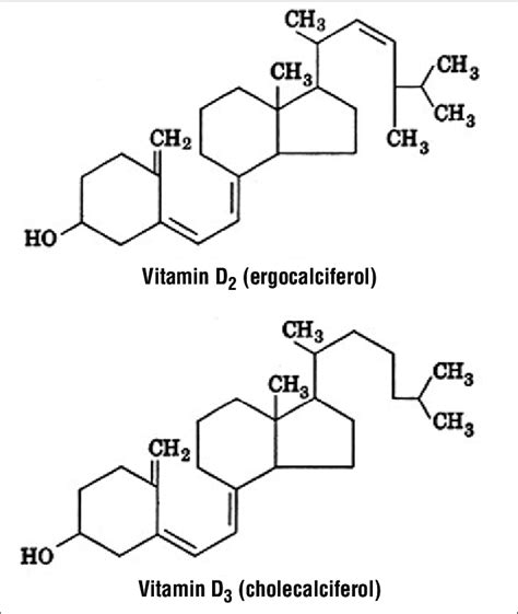 Molecular structure of vitamin D 2 and vitamin D 3. Used with... | Download Scientific Diagram