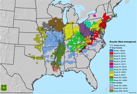 A massive brood of cicadas last seen in 2004 will emerge in the Midwest and on the East Coast ...