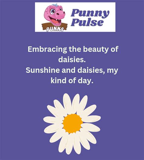 200+ Delightful Daisy Flower Puns to Brighten Your Day! (2024)