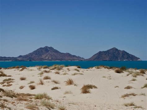 SAN FELIPE ATTRACTIONS 【 Best Places to Visit in Baja California Norte ...