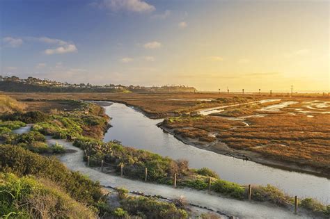 Cardiff State Beach - Soak Up the Sun, Watch Surfers, and Explore Tide ...