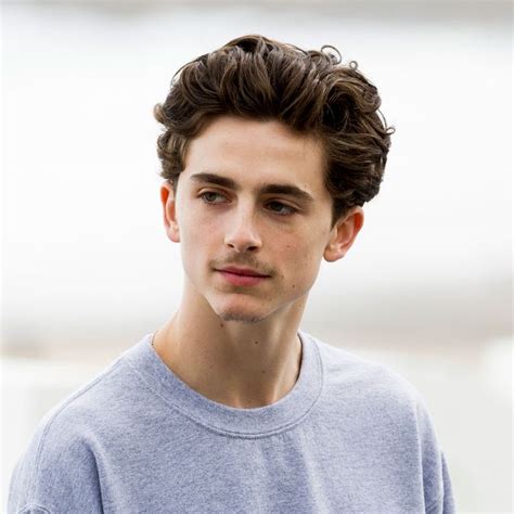 Timothée Chalamet Is the Perfect Movie Star for 2018