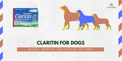 Claritin for Dogs: Dosage, Benefits, Side Effects, and More! | CertaPet
