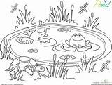 Disegno Stagno Da Colorare sketch template