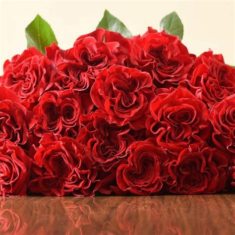 Hearts Red Roses 100 Stems | J R Roses Wholesale Flowers