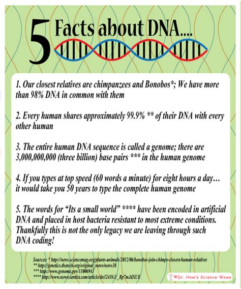 Fun Friday – Five Fantastic Facts about DNA and how to extract DNA from a banana – Dr. How's ...