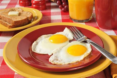 Fried eggs and toast stock image. Image of horizontal - 31555675