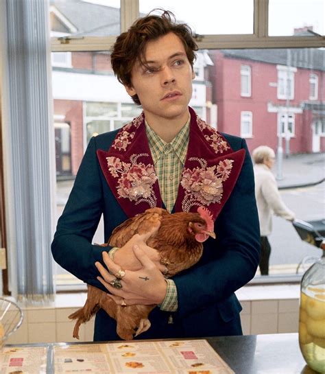 Gucci Men's Tailoring Ad Campaign Featuring Harry Styles | LES FAÇONS