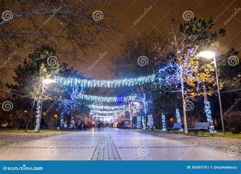 Christmas lights in park editorial photo. Image of celebration - 36565761