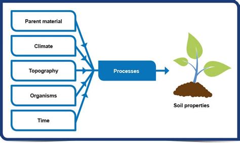 Factors that influence soil formation in Indian Conditions - PMF IAS