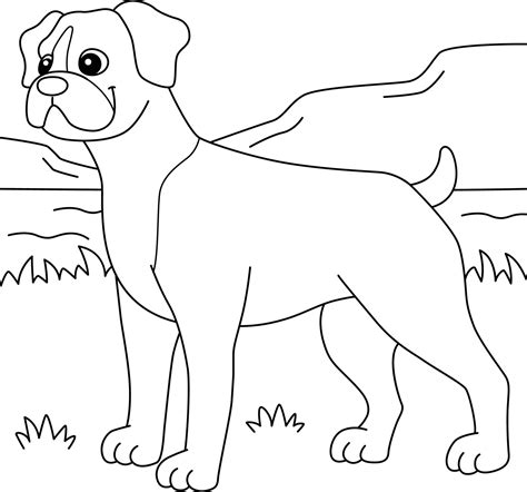 Boxer Dog Coloring Page for Kids 7819213 Vector Art at Vecteezy