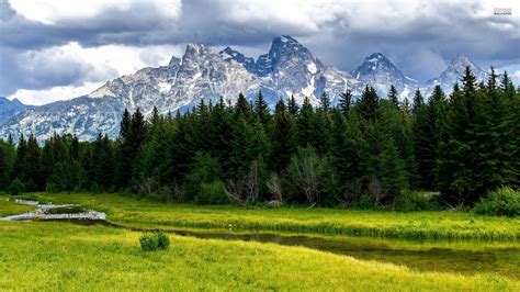 Mountain Meadow Background wallpaper | 2560x1440 | #27266