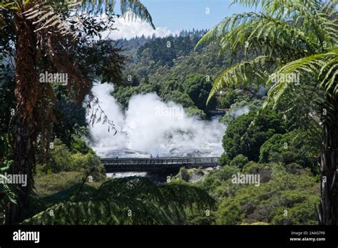 volcanic activity on the North Island, New Zealamd Stock Photo - Alamy