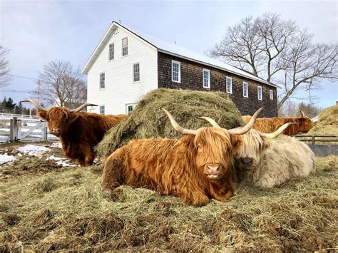 Sabbathday Lake Shaker Village - Home | Facebook